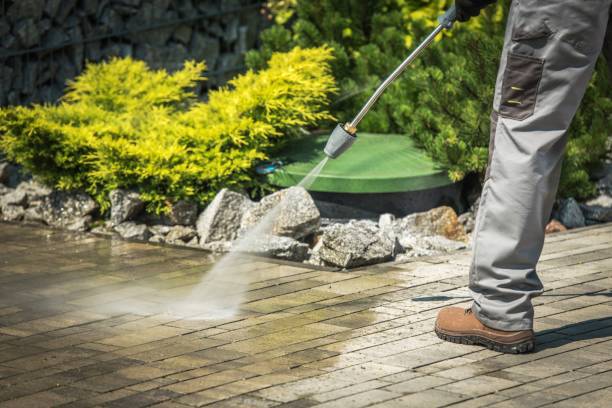 Best Winterizing Services  in Cayuga Heights, NY